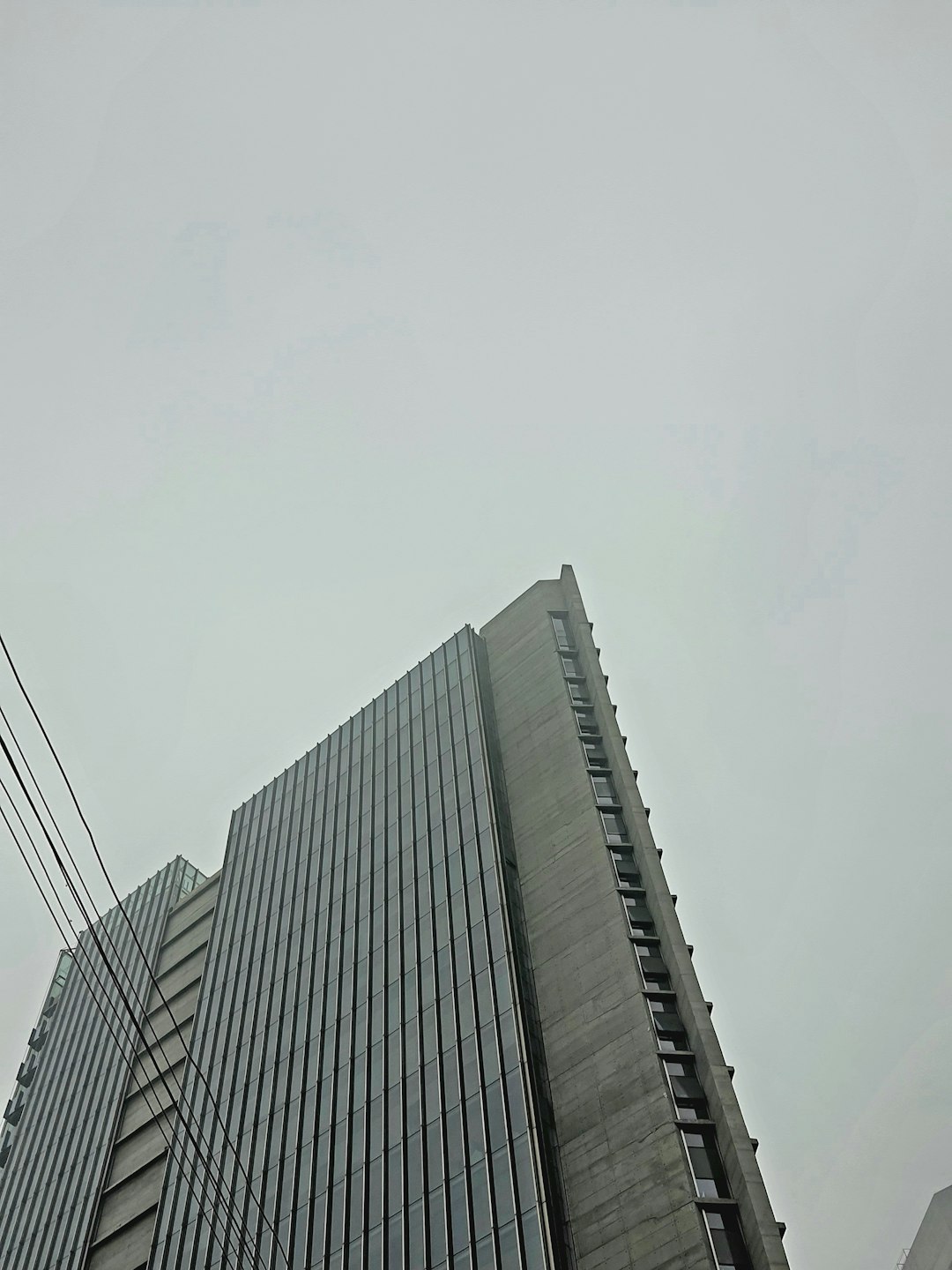 Zero Carbon Institute