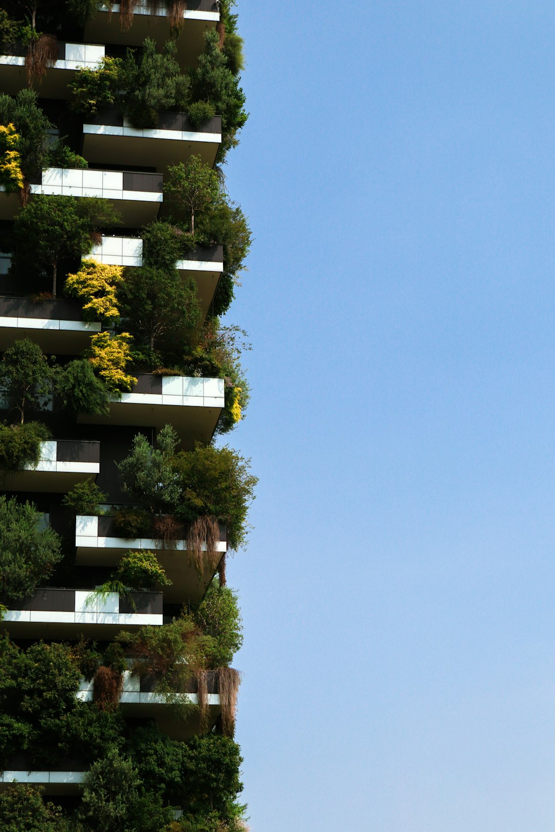 EcoVille District